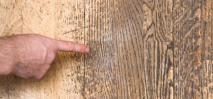Wood Door Scratch Repair in Alhambra